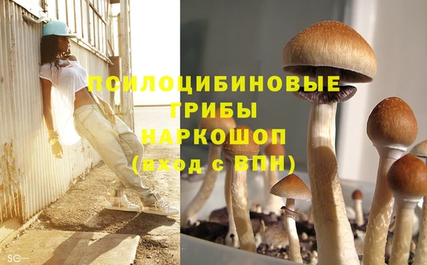 ECSTASY Алексеевка