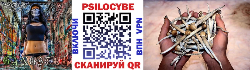 Галлюциногенные грибы GOLDEN TEACHER  гидра рабочий сайт  Николаевск-на-Амуре 